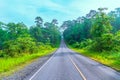 Beautiful curve road in wild forest Royalty Free Stock Photo