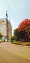 Beautiful curve rood to construction building with crane and big red or orange flower tree Royalty Free Stock Photo