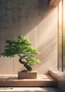 Beautiful curved bonsai green tree on the windowsill litted with new day sunrise sunrays image. Japanese art of growing and