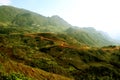 Beautiful Curvy roads, Sapa,Vietnam