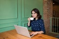 Beautiful cute asian young businesswoman in the cafe, using laptop and drinking coffee smiling