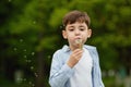 Beautiful cute boy in park blowing on dandelion in summer time Royalty Free Stock Photo