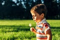 Beautiful cute boy in park blowing on dandelion in summer time at the sunset. Royalty Free Stock Photo