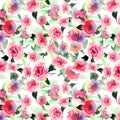 Beautiful cute floral herbal gorgeous magnificent wonderful spring colorful pink and red roses with leaves pattern watercolor Royalty Free Stock Photo