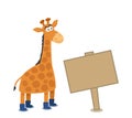 Beautiful and cute giraffe with blue boots and billboard on white background
