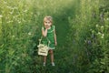 Child stands in a meadow with growing wildflowers and holds a basket with field camomiles. Royalty Free Stock Photo