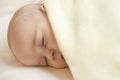 Cute little baby sleeping in a sweet sleep hugging a bear Royalty Free Stock Photo