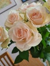 Beautiful and cute roses mothers day