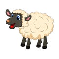 Beautiful cute sheep isolated on white background. design for child card,t-shirt. Sheep animal concept