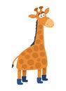 Beautiful and cute smiling giraffe with blue boots in profile in white background