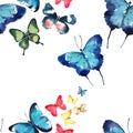 Beautiful cute sophisticated magnificent wonderful tender gentle spring blue green red yellow butterflies pattern watercolor Royalty Free Stock Photo