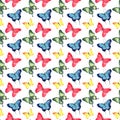 Beautiful cute sophisticated magnificent wonderful tender gentle spring blue green red yellow butterflies pattern watercolor Royalty Free Stock Photo