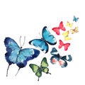 Beautiful cute sophisticated magnificent wonderful tender gentle spring blue green red yellow butterflies pattern watercolor Royalty Free Stock Photo