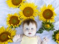 Beautiful cute white girl of five months lies in sunflowers Royalty Free Stock Photo