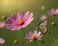 Beautiful cute yellow butterfly on orange flower Royalty Free Stock Photo