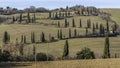 Beautiful cypress-lined country road in La Foce, Siena, Tuscany, Italy