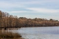 Beautiful cypress trees on Caddo Lake, Louisiana