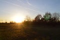 Sunset on meadow during spring