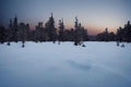 Beautiful 3D Nature and landscape wallpaper of a winter morning, ice pine trees, sunshine view, ambient calm nature, ai generative Royalty Free Stock Photo