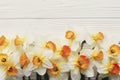 Beautiful daffodils on white wooden rustic background top view.