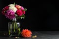 Beautiful dahlia flowers in vase on table against black background. Space for text Royalty Free Stock Photo