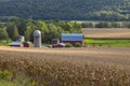 Beautiful dairy farm and cornfield Royalty Free Stock Photo