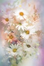 Beautiful daisies on abstract watercolor background. Digital painting.