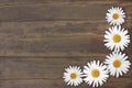 Beautiful daisies. Gorgeous texture old brown wood. Frame of flowers