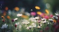 Beautiful daisies in the meadow. Retro style