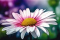 Beautiful daisy flower in the garden, Shallow depth of field