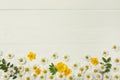 Beautiful daisy flowers and leaves on white wooden background, flat lay. Space for text Royalty Free Stock Photo