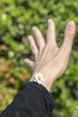 A daisy pokes out of the sleeve of a jacket on a male arm