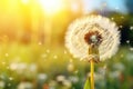 Beautiful dandelion flower on the background of the summer landscape, Ladybug on dandelion flower closeup. Nature background, AI