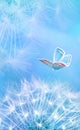 Beautiful dandelion seeds closeup blowing and butterfly on light blue vertical background. Soft pastel toned. Macro with soft Royalty Free Stock Photo