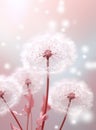 Beautiful dandelions and flying seeds on a beige background