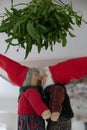 The beautiful Danish Christmas Elf Royalty Free Stock Photo