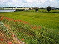 Beautiful Danish Countryside Landscape Over Rolling Hills with Green Fields Royalty Free Stock Photo