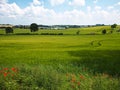 Beautiful Danish Countryside Landscape Over Rolling Hills with Green Fields Royalty Free Stock Photo