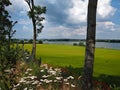 Beautiful Danish Countryside Landscape Over Rolling Hills with Green Fields Royalty Free Stock Photo