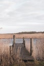 The beautiful Danish winter landscape Royalty Free Stock Photo