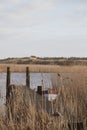 The beautiful Danish winter landscape Royalty Free Stock Photo