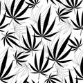 Beautiful dark black botany tropical floral and green leaf pattern on white