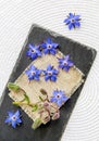 Beautiful dark blue edible flower Borago officinalis (Borago or borage) blossoms scattered. Royalty Free Stock Photo