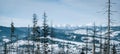 Beautiful dark blue mountain in snow landscape with forest. Panorama landscape Royalty Free Stock Photo