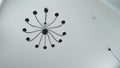 A beautiful dark chandelier with twelve/12 plafonds hangs on the ceiling