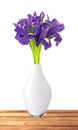 beautiful dark purple iris flowers bouquet isolated on white background Royalty Free Stock Photo