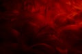 Beautiful Dark red Feathers Texture Vitage Background. Swan Feathers on Black. Royalty Free Stock Photo