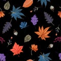 Beautiful dark scatter seamless pattern vector Autumn elememts Royalty Free Stock Photo