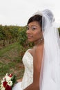 Dark skin bride in wineyards afican american dark skin pretty woman for wedding Royalty Free Stock Photo