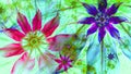 Beautiful dark vivid glowing modern flower background in green,pink,purple,blue colors Royalty Free Stock Photo